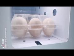 Egg Vending Machine
